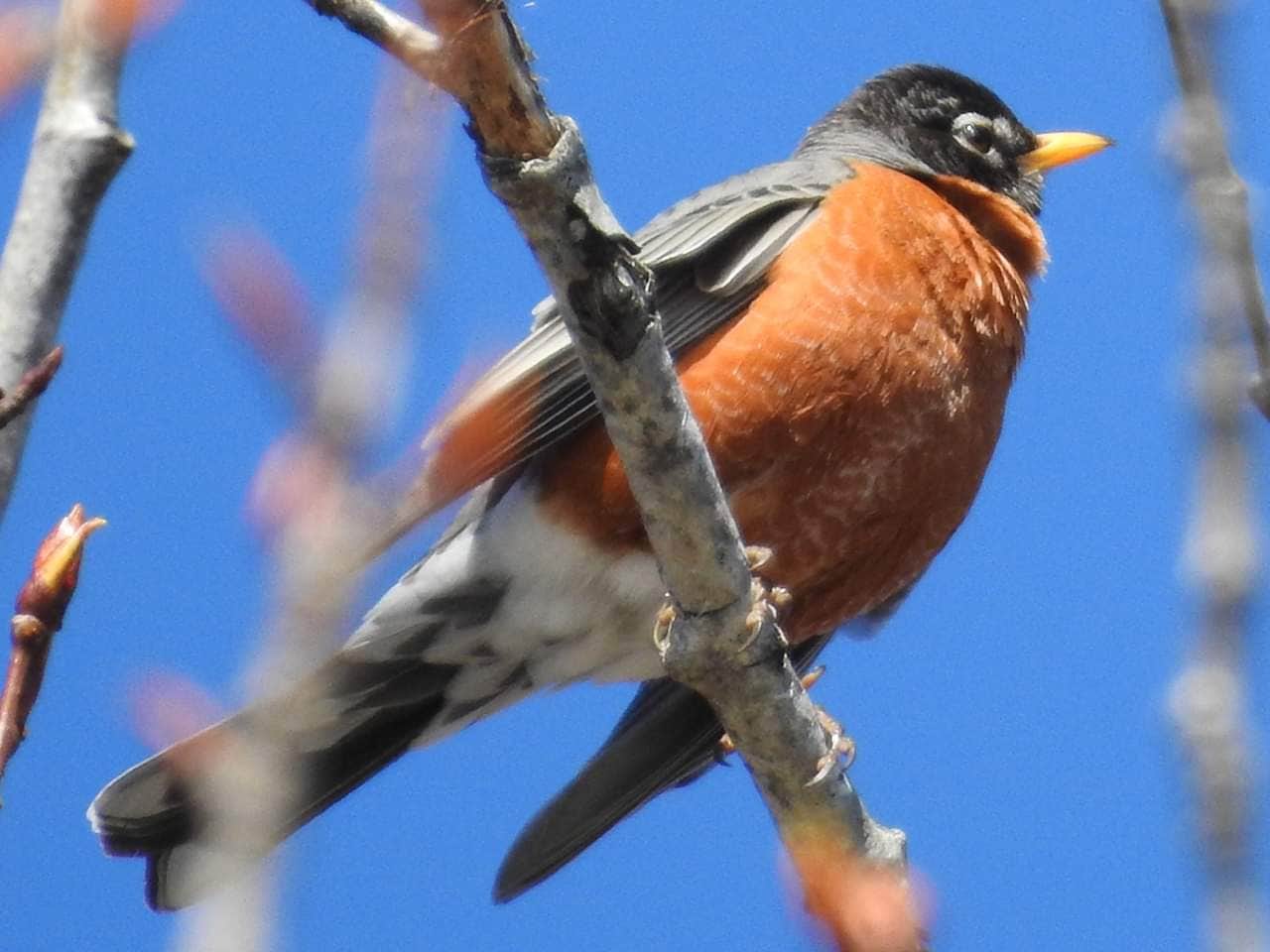 Camper-submitted photo at Military Park Fort Richardson Upper Otter Lake Campground near Elmendorf Air Force Base, AK