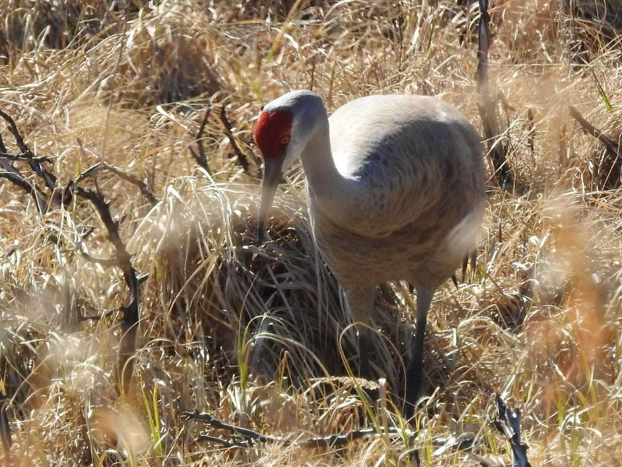 Camper-submitted photo at Military Park Fort Richardson Upper Otter Lake Campground near Elmendorf Air Force Base, AK