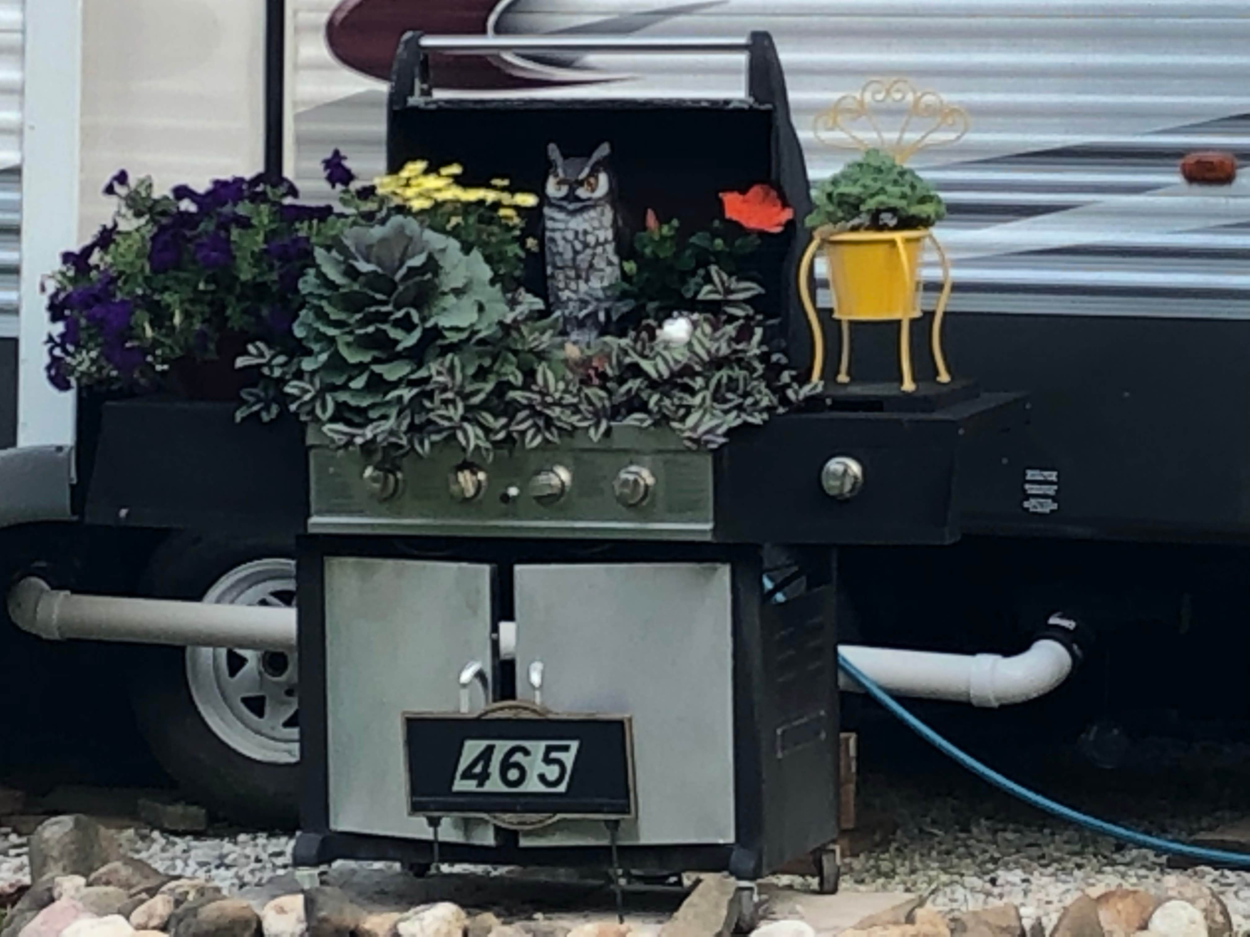 Darcy A.'s photo of camping with pets at Plymouth Rock Camping Resort near Two Rivers, WI