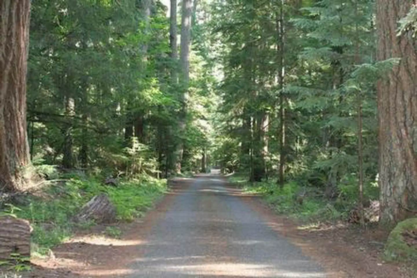 Camper submitted image from The Dalles Campground - 1