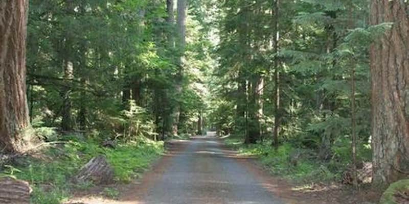 Camper submitted image from The Dalles Campground