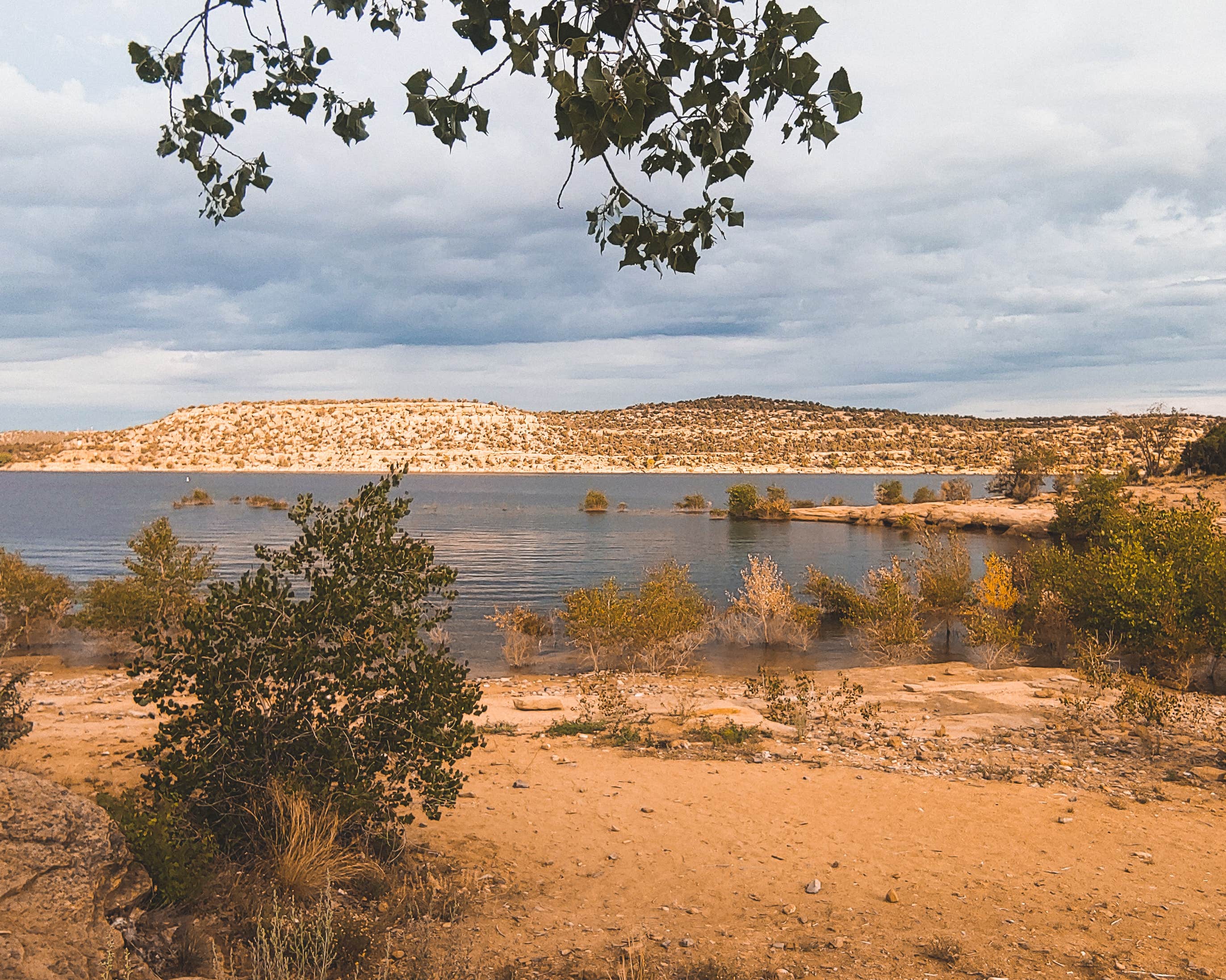 Camper submitted image from Sims Mesa Campground — Navajo Lake State Park - 4