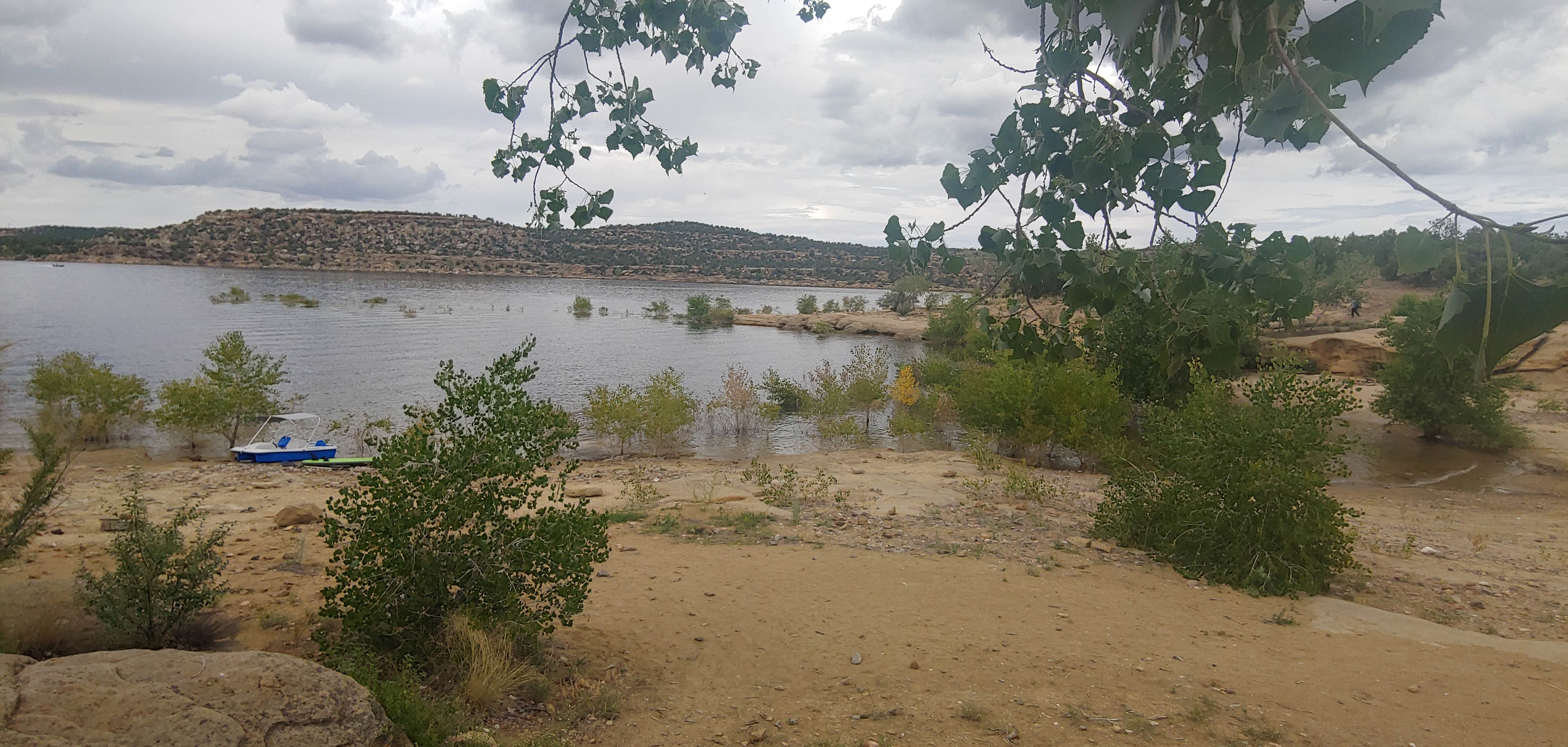 Camper submitted image from Sims Mesa Campground — Navajo Lake State Park - 3