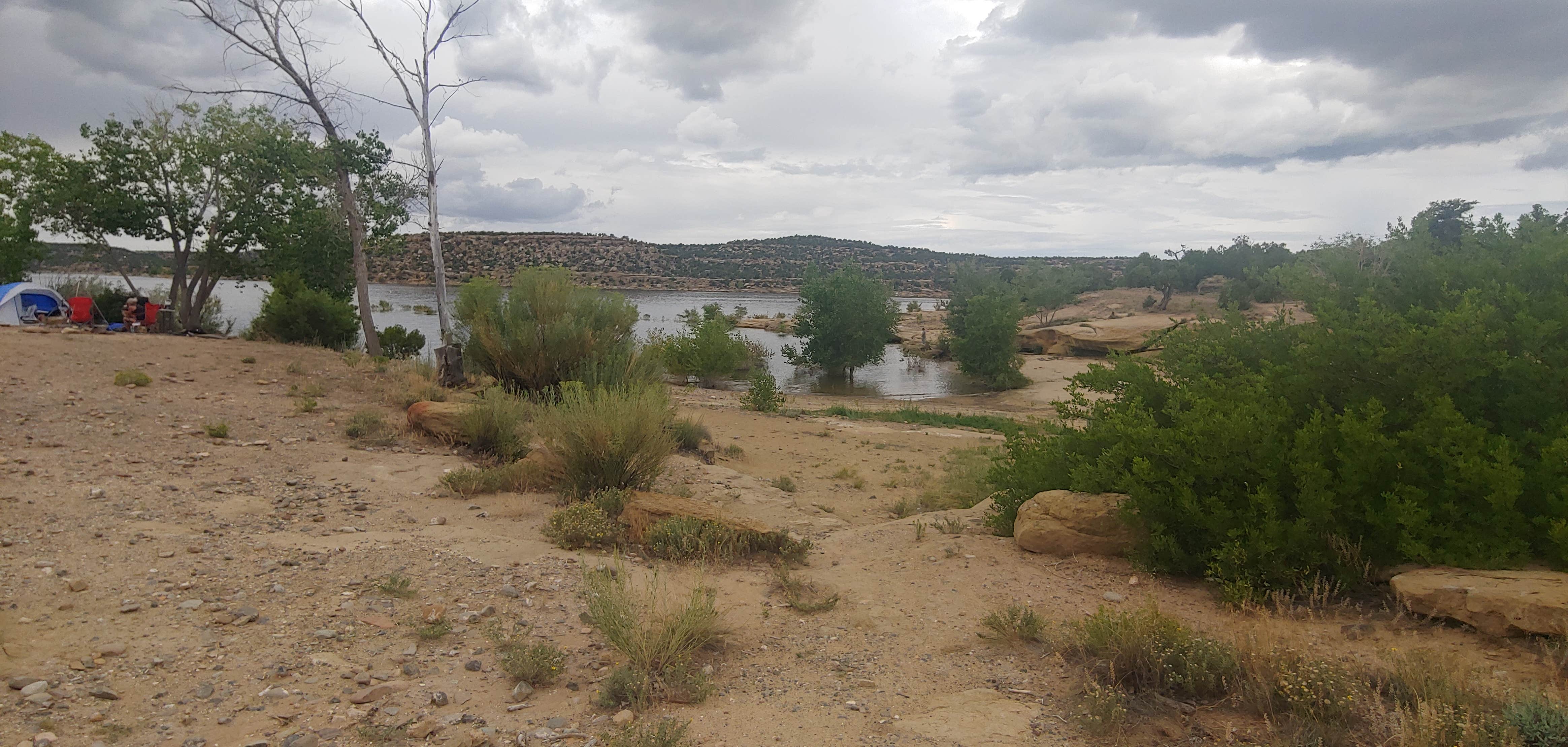 Camper submitted image from Sims Mesa Campground — Navajo Lake State Park - 2