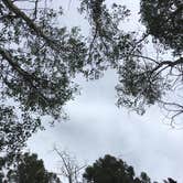 Review photo of Grizzly Ridge Yurt by Kam L., September 25, 2016