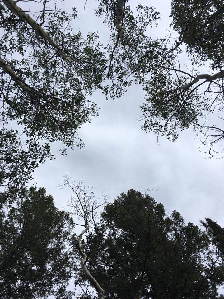 Camper submitted image from Grizzly Ridge Yurt - 2