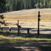 Review photo of Iron Springs Group Campground - Ashley National Forest by Cortney M., August 31, 2016