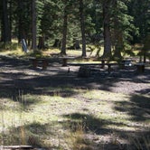 Review photo of Iron Springs Group Campground - Ashley National Forest by Cortney M., August 31, 2016