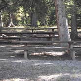 Review photo of Iron Springs Group Campground - Ashley National Forest by Cortney M., August 31, 2016