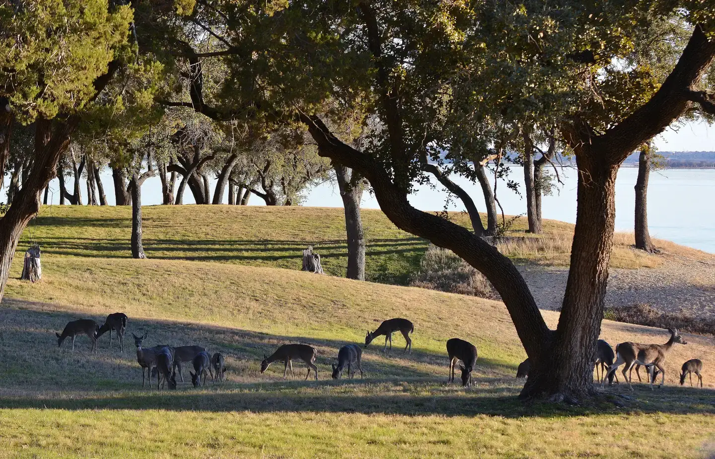 Camper-submitted photo at Airport Park - Waco Lake near Belton Lake