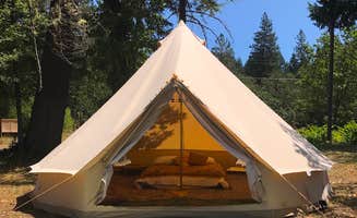 Mea W.'s photo at Cedar Bloom near Selma, OR