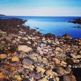 Review photo of Seawall Campground — Acadia National Park by Steve M., September 25, 2016