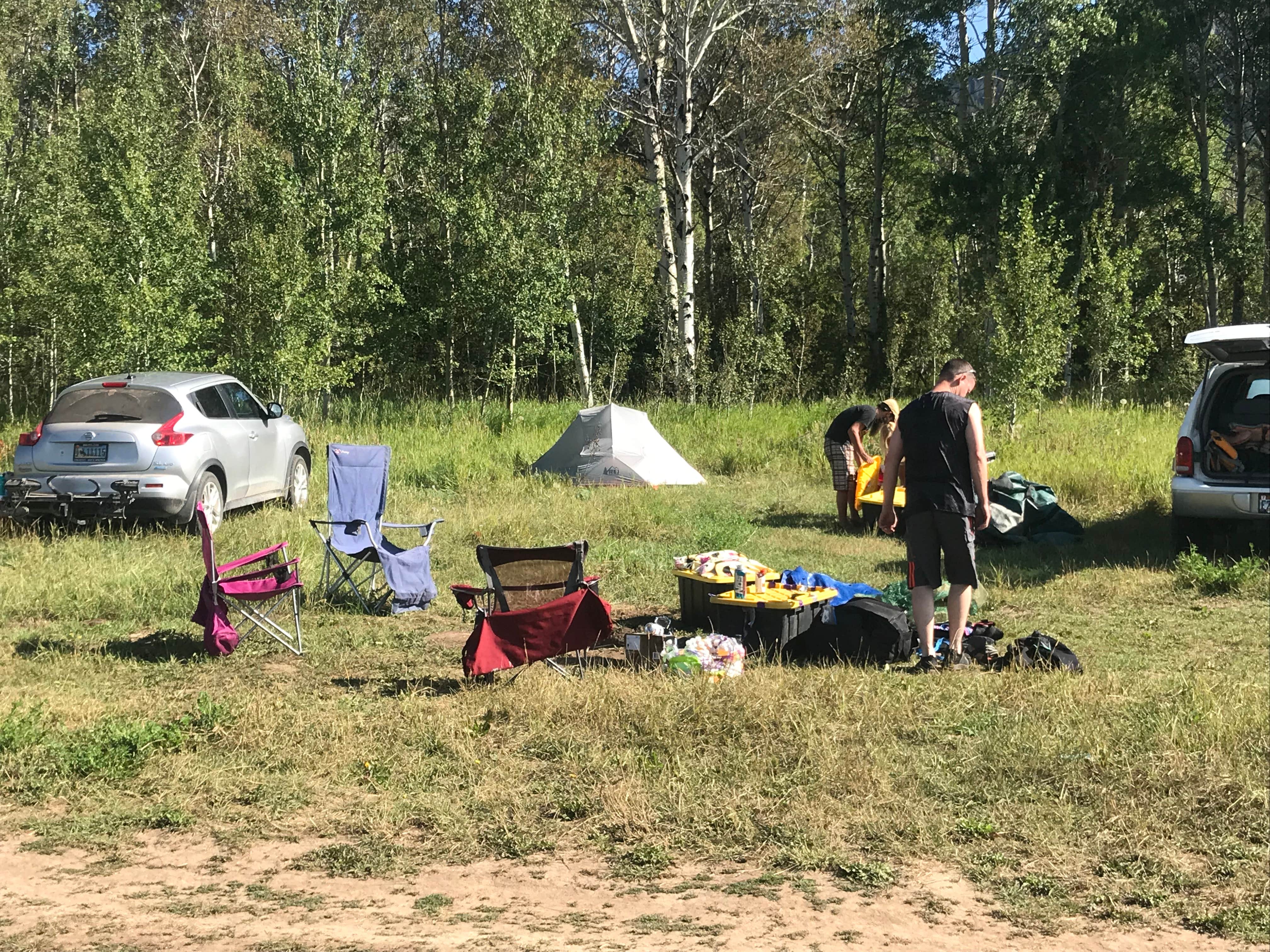 Camper submitted image from Palisades Reservoir Dispersed Camping - 2