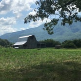 Review photo of Honeysuckle Meadows by Jason E., August 13, 2019
