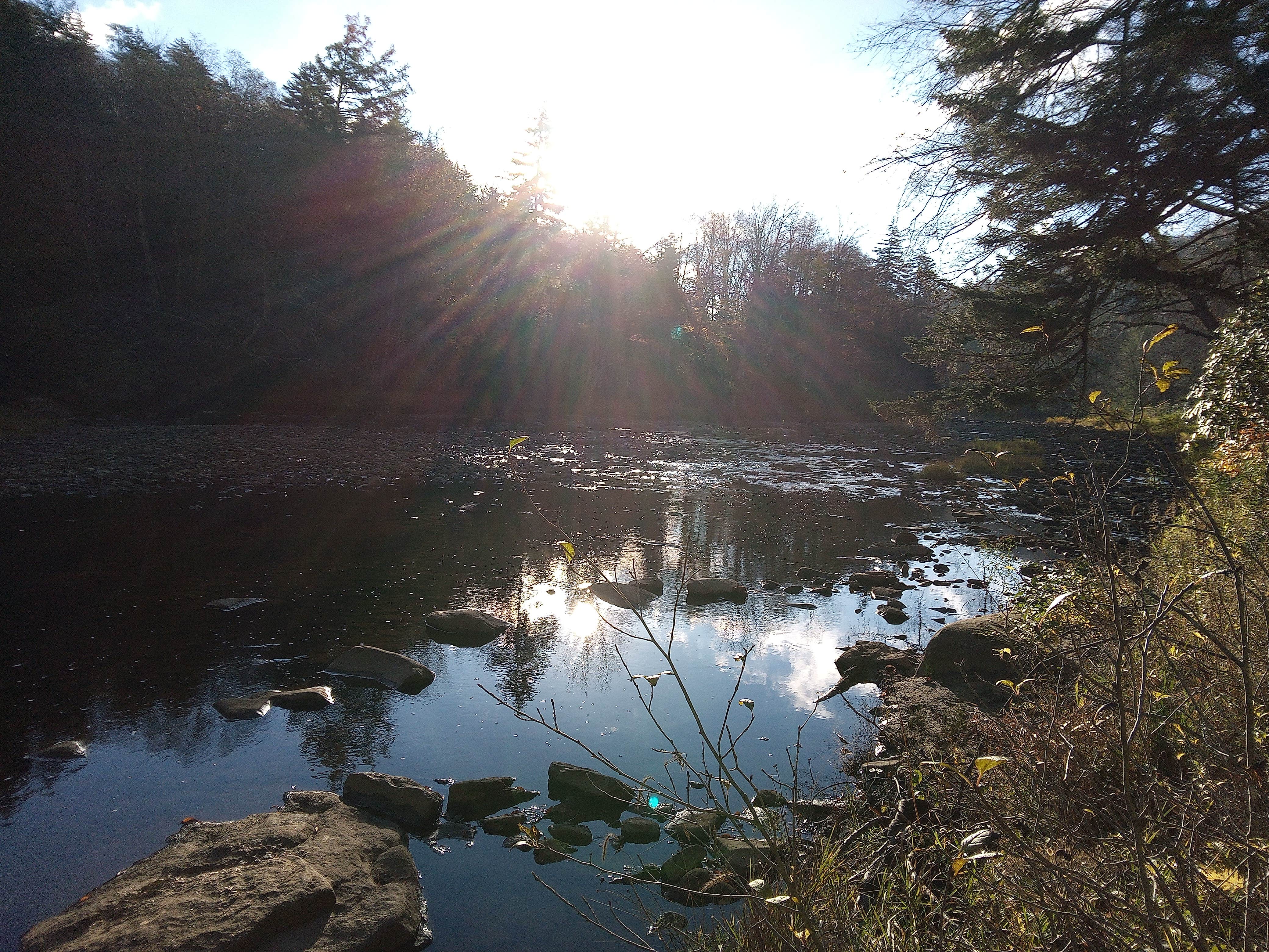 Camper-submitted photo at Stonecoal Dispersed Camping Area near Craigsville, WV