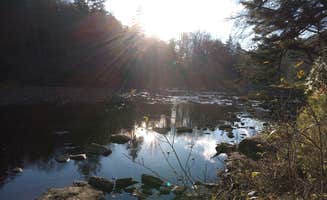 Stephen R.'s photo of a dispersed camping area at Stonecoal Dispersed Camping Area near Sutton Lake