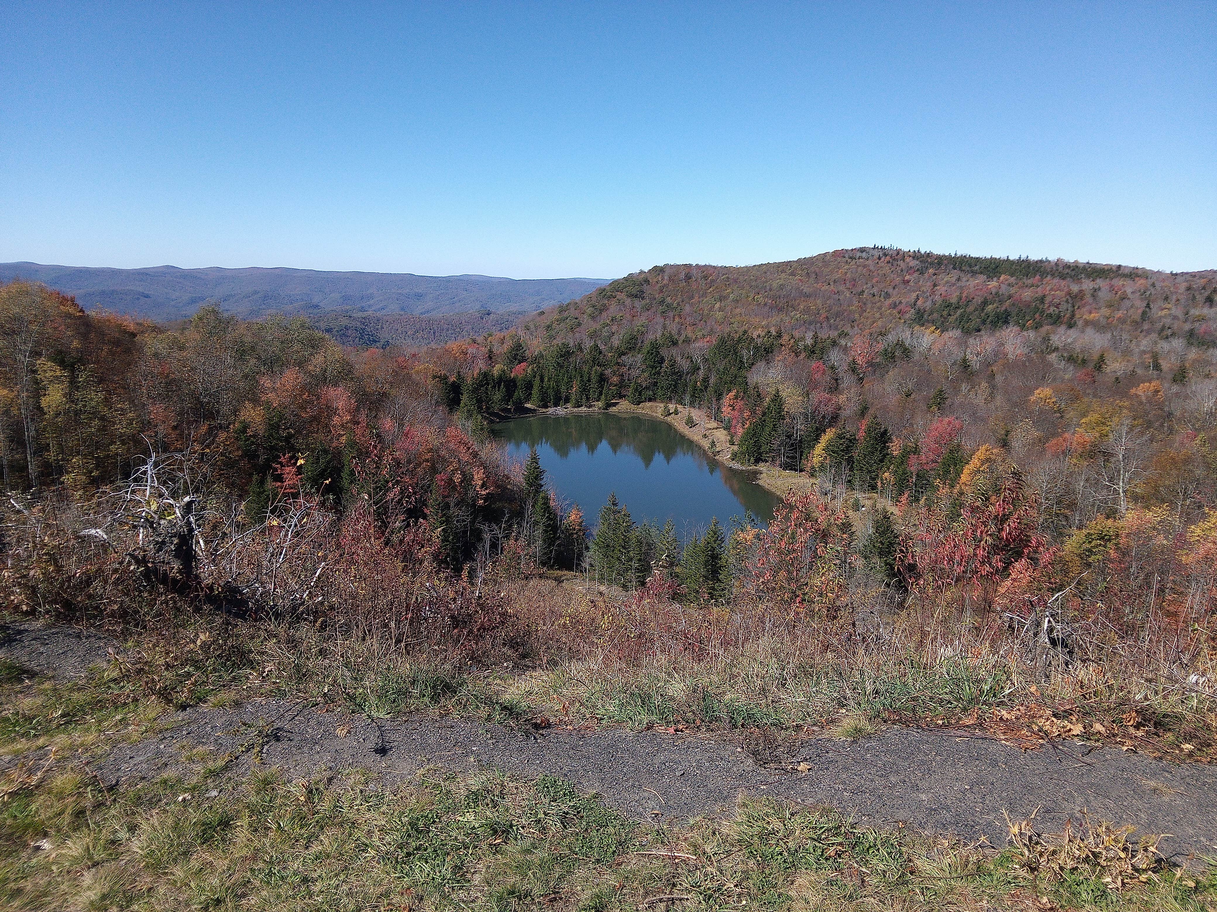 Stephen R.'s photo of a dispersed camping area at Dispersed camping at Mower Basin near Parsons, WV