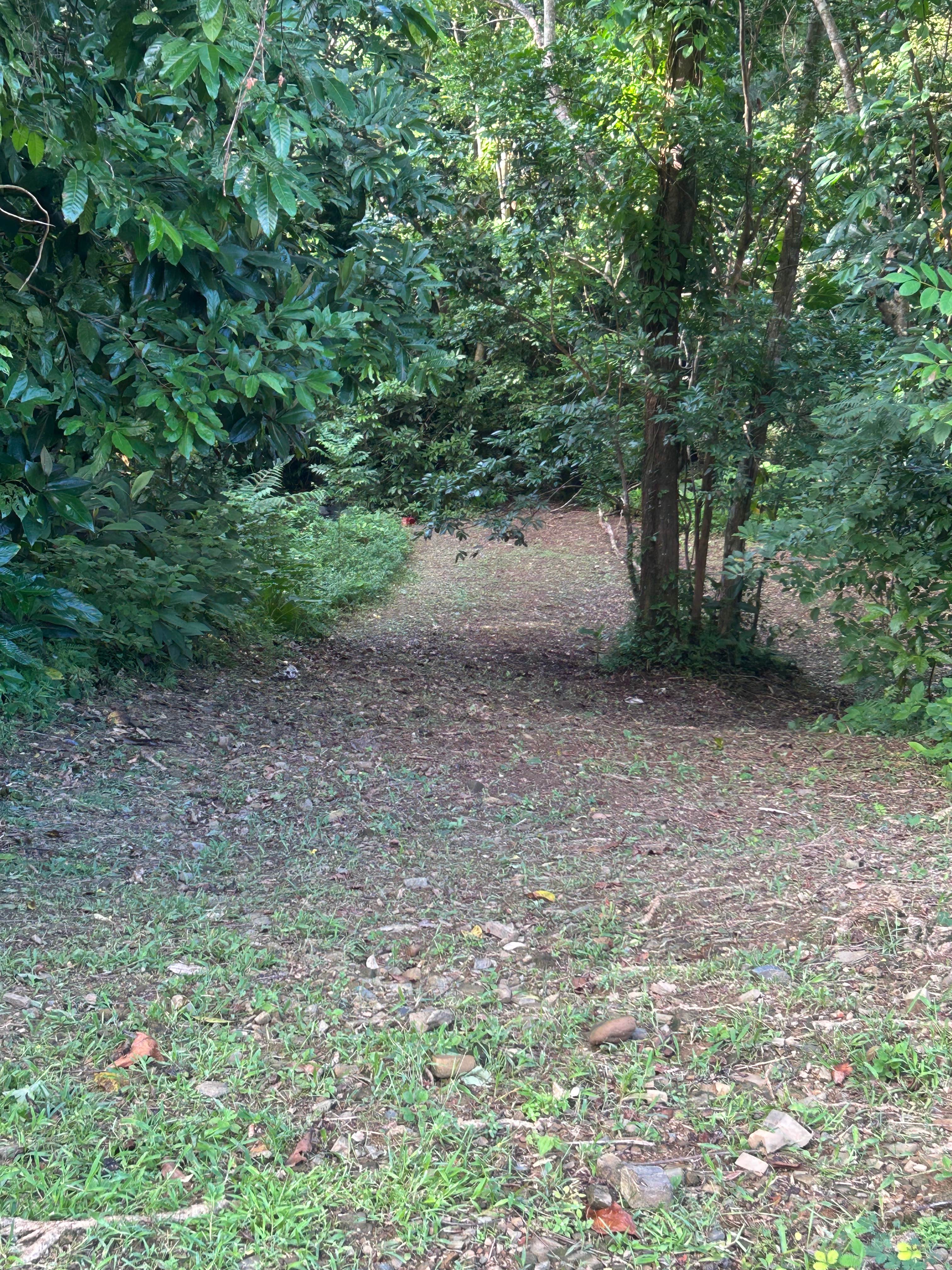 Camper submitted image from Rancho Gallardo - 1