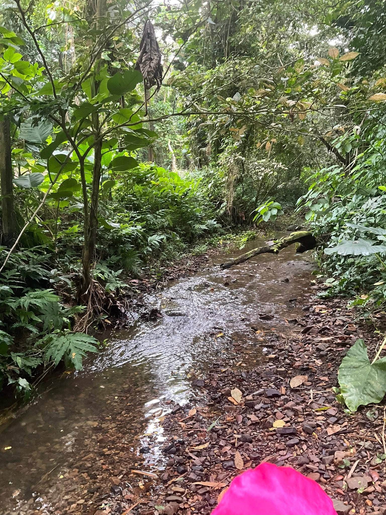 Camper-submitted photo at Rancho Gallardo in Puerto Rico