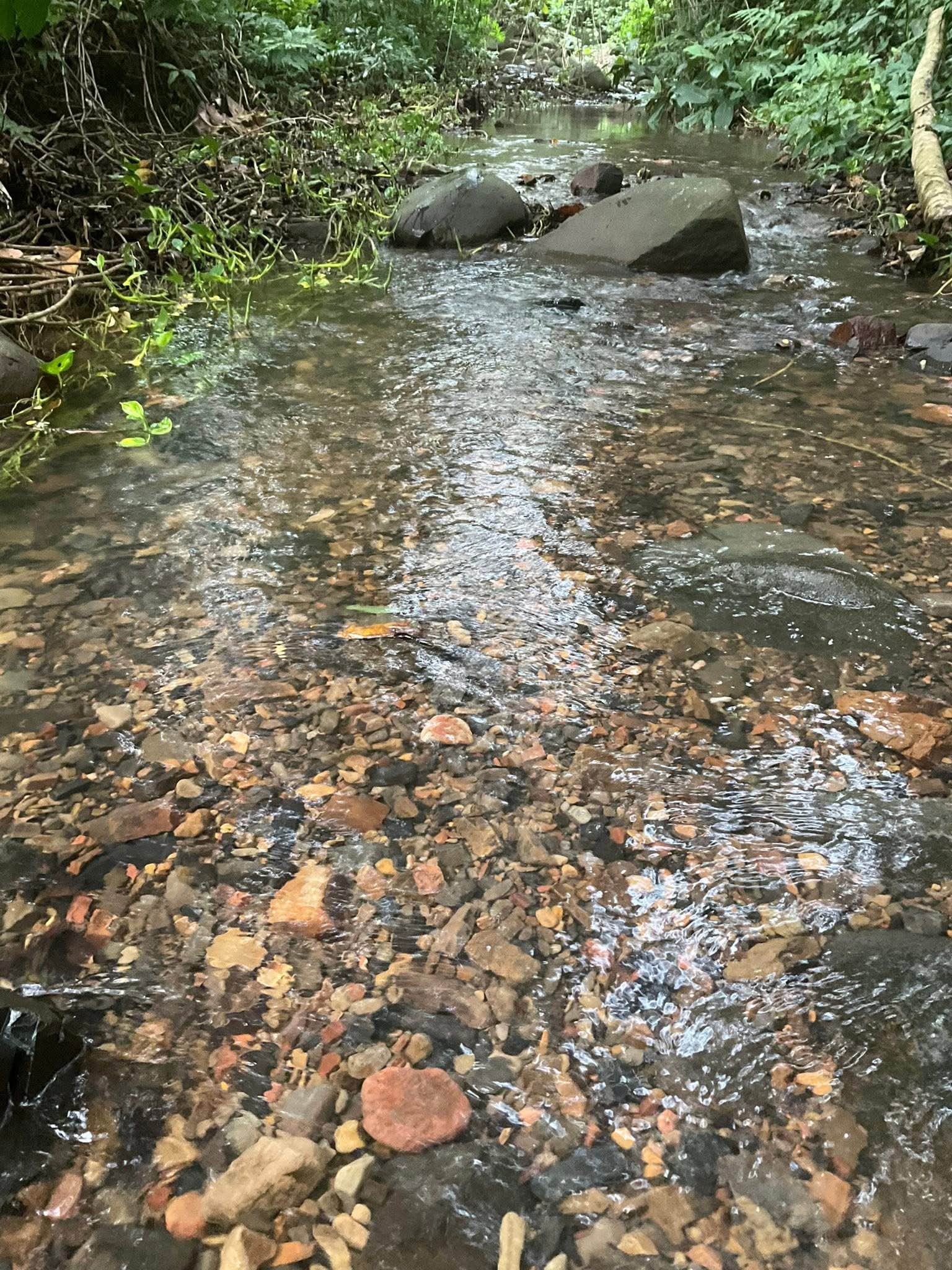 Camper-submitted photo at Rancho Gallardo in Puerto Rico