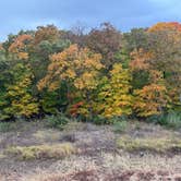 Review photo of Puma — Mark Twain State Park by Kevin M., November 4, 2025