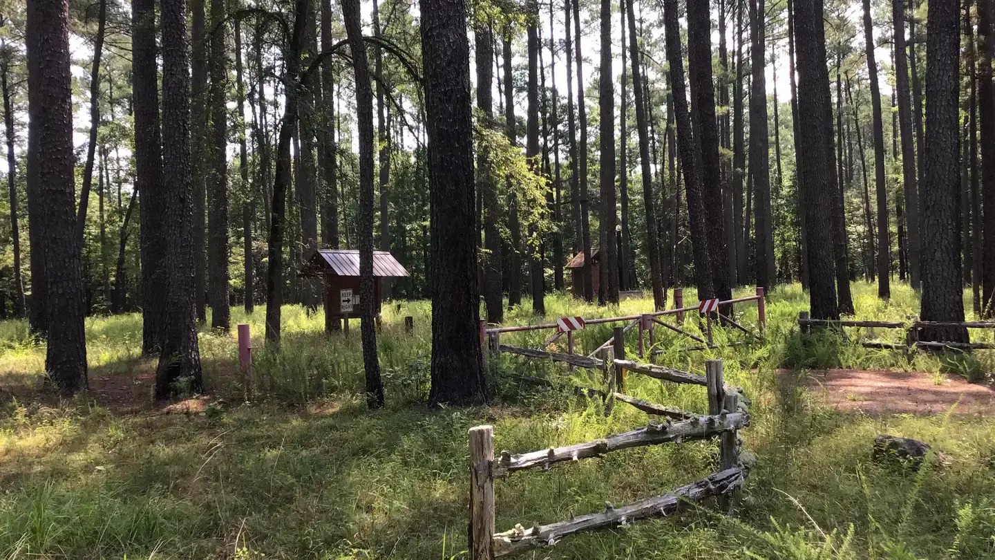Camping near Herbert Seasonal Camp: Poolus Loop Hunt Camp, Union, South Carolina