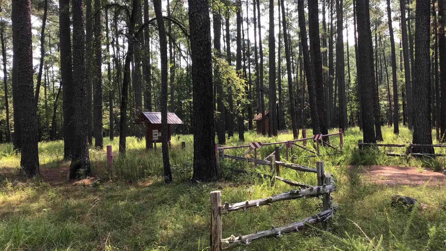 Camper submitted image from Poolus Loop Hunt Camp - 1