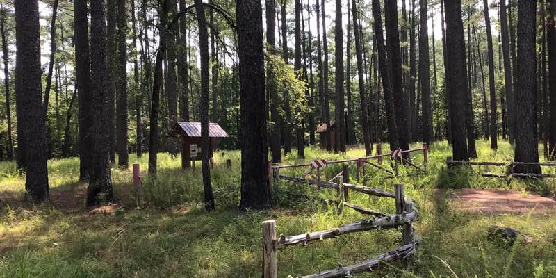 Camper submitted image from Poolus Loop Hunt Camp