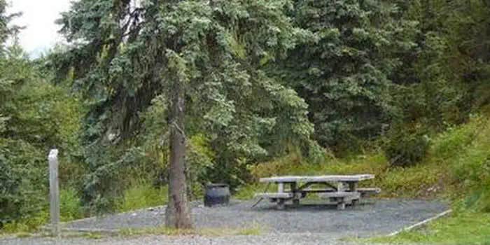 Camper submitted image from Tenderfoot Creek