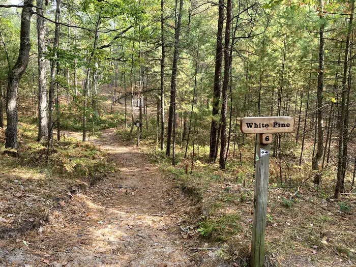 Camper submitted image from White Pine Backcountry Campground Permits — Sleeping Bear Dunes National Lakeshore - 1
