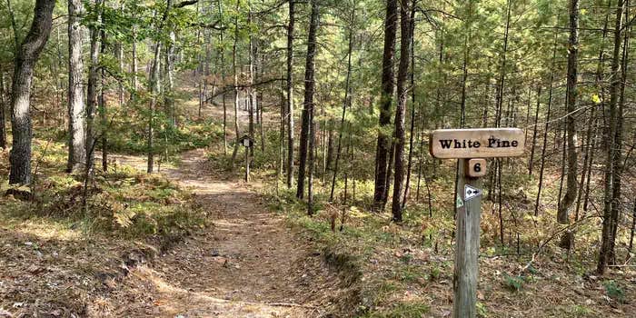Camper submitted image from White Pine Backcountry Campground Permits — Sleeping Bear Dunes National Lakeshore