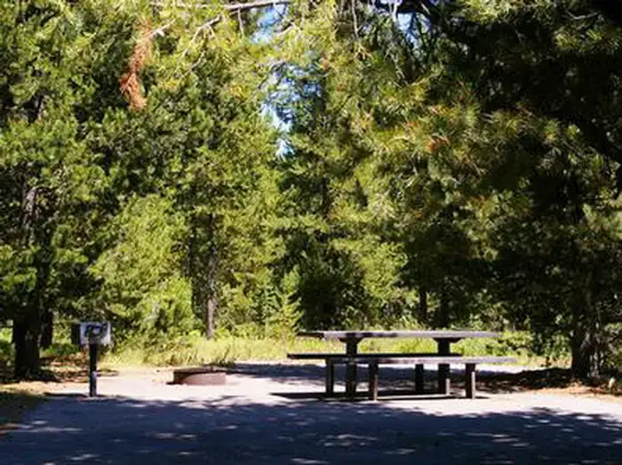 Camper-submitted photo at Buffalo (idaho) near Ashton, ID