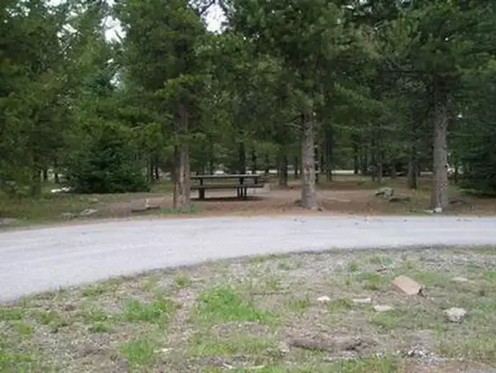 Camper-submitted photo at Buffalo (idaho) near Ashton, ID