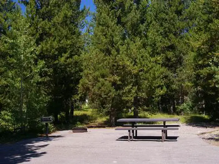 Camper-submitted photo at Buffalo (idaho) near Ashton, ID