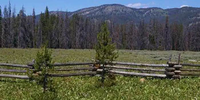 Camper submitted image from Elk Creek Campground (sawtooth Nf)