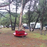 Review photo of Bonito Hollow RV Park & Campground by Sue G., August 13, 2019