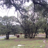 Review photo of Bonito Hollow RV Park & Campground by Sue G., August 13, 2019