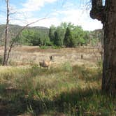 Review photo of Echo Canyon Campground - CLOSED by Chad K., September 25, 2016