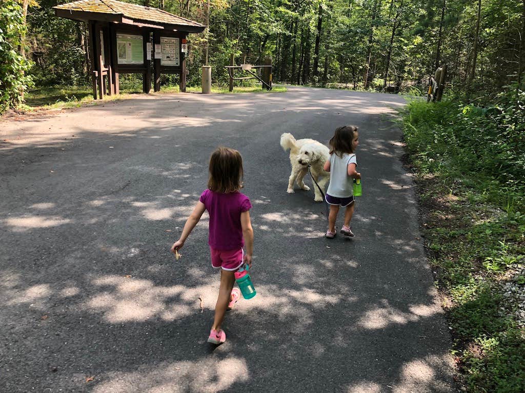 Camper-submitted photo at Chilhowee near Benton, TN