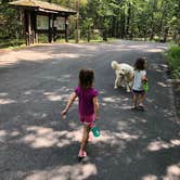 Review photo of Chilhowee by Nathan G., August 13, 2019