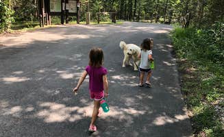 Nathan G.'s photo of camping with pets at Chilhowee near Etowah, TN