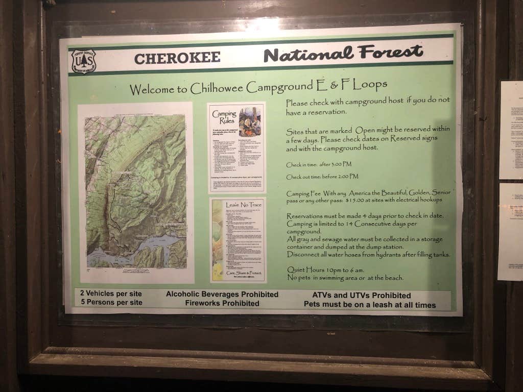 Camper submitted image from Chilhowee - 3