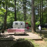 Review photo of Black Mountain Campground - CLOSED INDEFINITELY by Courtney M., August 13, 2019