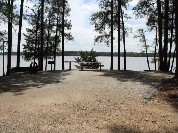 Camper-submitted photo at Hawe Creek - J Strom Thurmond Lake near Lincolnton, GA