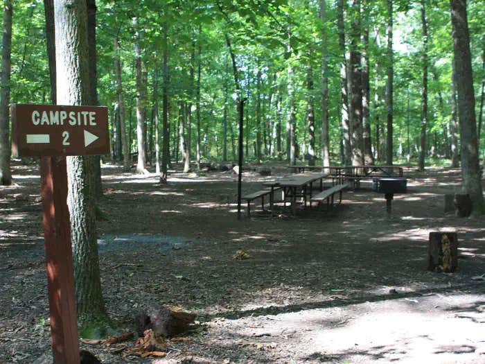 Camper submitted image from Marsden Tract Group Campsite - 1