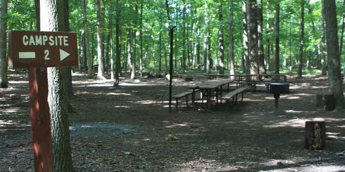 Camper submitted image from Marsden Tract Group Campsite