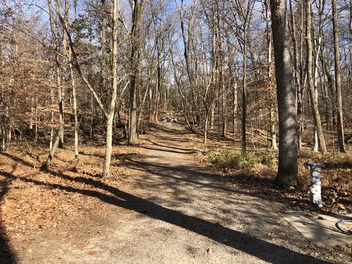 Camper-submitted photo at Marsden Tract Group Campsite near Bristow, VA