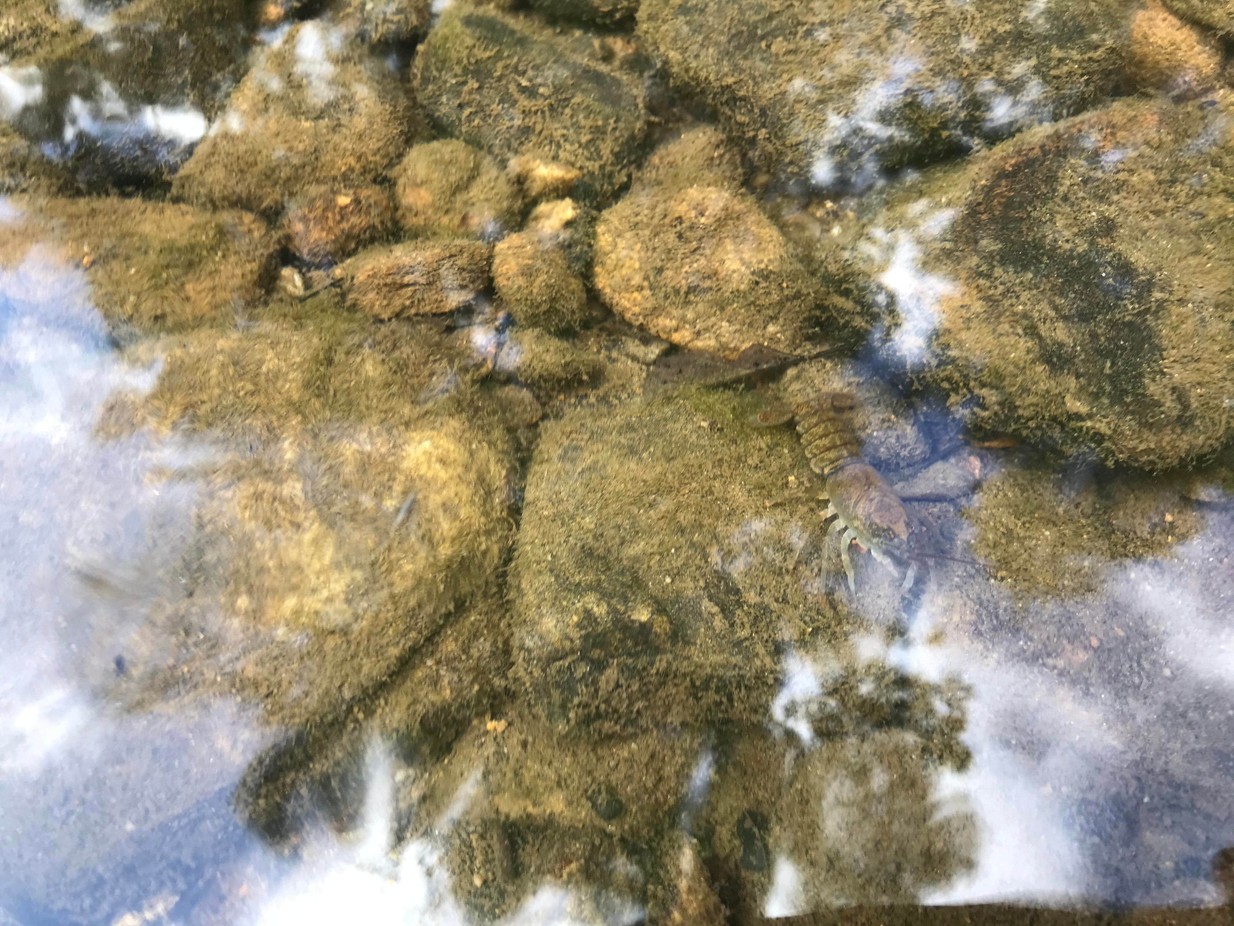 Camper-submitted photo at Clear Creek State Park Campground near Olanta, PA