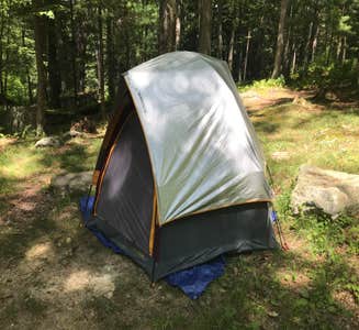 Camper-submitted photo from Black Moshannon State Park Campground