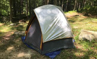 Travis S.'s photo at Clear Creek State Park Campground near Sigel, PA